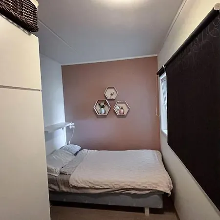 Cozy Northern